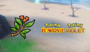 Branche Galanoa Pokémon Écarlate et Violet : Où la trouver et à quoi sert-elle ?