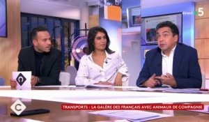 Patrick Cohen, le journaliste qui ne supporte pas les chiens dans les trains, se fait bousculer par les autres chroniqueurs de "C à vous" sur France 5 - Regardez