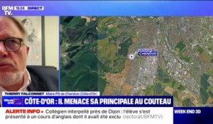 Un élève d'un collège de la banlieue de Dijon a été interpellé après avoir menacé avec un couteau la principale de son établissement