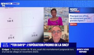 "TER DAYS": pourquoi les offres de la SNCF ne concernent pas les grandes lignes ? BFMTV répond à vos questions