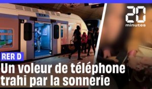 RER D : Un voleur de téléphone démasqué grâce à la solidarité des passagers