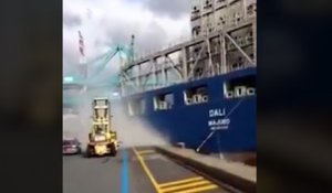 Pont effondré à Baltimore : le cargo Dali avait embouti le port d'Anvers en 2016