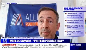 Collégienne agressée à Montpellier: "L'éducation et la prévention, s'il n'y a pas la sanction, c'est inutile", déclare David Leyraud (Sud Alliance police)