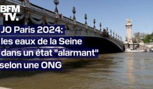 JO de Paris 2024: un nouveau rapport alerte sur l’état de l’eau de la Seine, dans laquelle vont se tenir des épreuves de natation