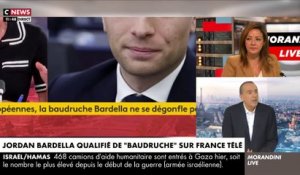 Le président du RN lui même et plusieurs députés RN réagissent après la chronique de France Info ce matin traitant Jordan Bardella de "baudruche"