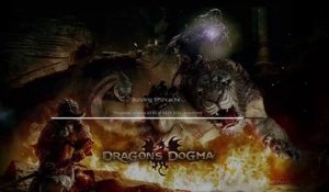 Dragon's Dogma online multiplayer - ps3