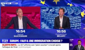 François-Xavier Bellamy sur l'immigration: "Nous sommes en train d'importer des conflits communautaires"