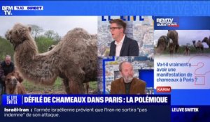 Le maire de Janvry défend le défilé de chameaux prévu à Paris: "J'ai 34 pays qui viennent"