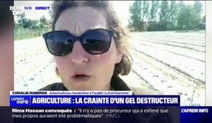 "On ne dort pas très sereinement la nuit", raconte Coralie Duberos, arboricultrice dans le Lot-et-Garonne confronté au gel