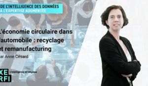 L'économie circulaire dans l'automobile : recyclage et remanufacturing [Anne Césard]