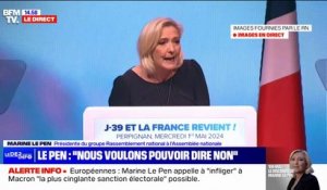 Marine Le Pen: "Nous n'en pouvons plus de payer leur folie idéologique" sur les prix de l'énergie