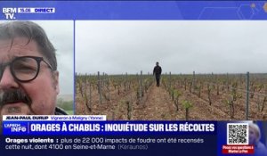 Jean-Paul Durup (vigneron à Maligny, dans l'Yonne) sur les intempéries: "On espère une amélioration du temps qui pourrait éventuellement faire repartir quelques bourgeons"