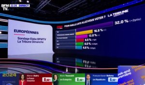 Élections européennes: Jordan Bardella continue de creuser l'écart (32%) dans un nouveau sondage Elabe