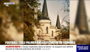 L'improbable bataille entre le footballeur de Chelsea Cole Palmer et un château de vins de Bordeaux