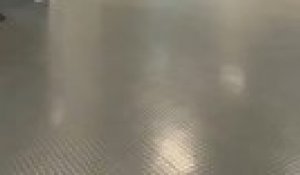 L'attaquant du PSG Ousmane Dembélé blessé avec l'équipe de France contre l'Ukraine - Foot - Qualif. Coupe du monde