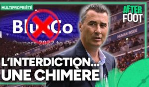 Ligue 1 : Interdire la multipropriété, une chimère ?