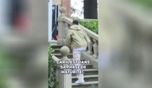 Real Madrid - Valdano : "Mbappé est aujourd’hui le joueur le plus complet au monde"