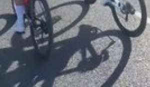 Frayeur à l'entraînement pour Mathieu Van der Poel qui évite de peu une grosse chute - Cyclisme