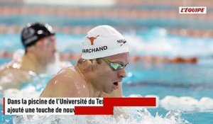 Vainqueurs sur 200 m 4 nages et 100 m papillon, Léon Marchand et Maxime Grousset toujours au rendez-vous à Austin - Natation - Austin