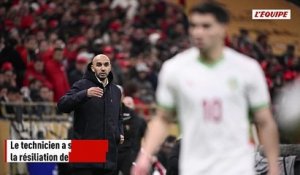 Walid Regragui et la Fédération Marocaine ont mis fin à leur collaboration - Foot - Maroc