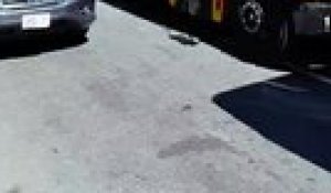 Les supporters écossais dans une vingtaine de bus scolaires pour se rendre au match de Coupe du monde contre Haïti - Foot - Coupe du monde 2026