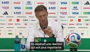 Tunisie - Renard espérait une réaction plus importante et ne veut pas parler de l’avenir