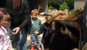 Monceaux-L'Abbaye : la ferme pédagogique