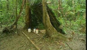 Stage survie en forêt guyanaise
