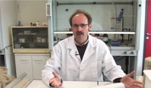 Bio-matériaux : alternative à la plasturgie pétrochimique Christophe Baley enseignant-chercheur à l'UBS Université Bretagne Sud