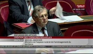 SEANCE,Séance " Réforme des collectivités territoriales "