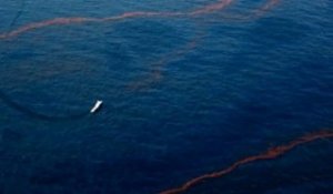 Louisiane : la pire marée noire des Etats-Unis ?