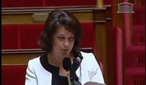 LGV Bordeaux-Toulouse : S. Pinel interroge le gouvernement