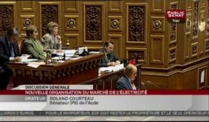 SEANCE,Séance - projet de loi sur la Nouvelle Organisation du Marché de l'Electricité