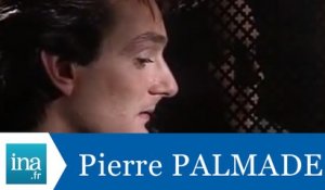 Les confessions de Pierre Palmade - Archive INA