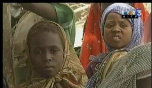 [Tchad : Les réfugiés du Darfour, une catastrophe humanitaire]