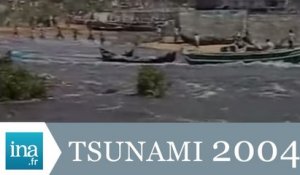 Les ONG mobilisées pour les victimes du tsunami - Archive INA
