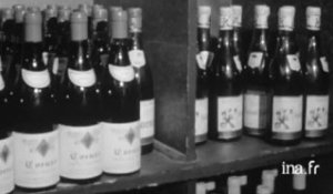 Les vins de Côtes du Rhône