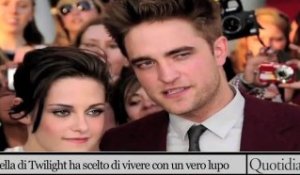 Bella di Twilight ha scelto di vivere con un vero lupo