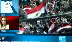 Egypt: Egyptian prime minister resigns amid calls for purge