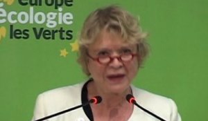 Eva Joly, primaires EELV