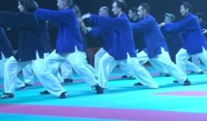 La Fédération Française de Wushu au Festival des Arts Martiaux de Bercy 2011