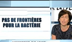 Pas de frontières pour la bactérie