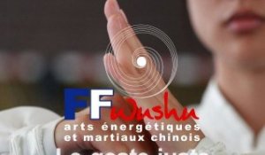 Le Wushu pour tous à tous les âges de la vie