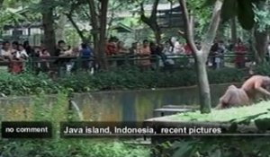 Indonésie - no comment