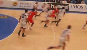 LNH 13ème Journée Handball - Paris/Sélestat