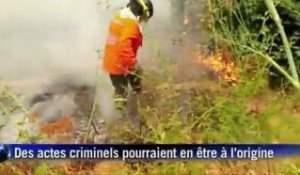 Chili : Les incendies ont ravagé 40.000 hectares de végétation