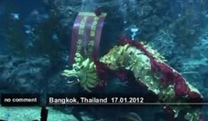 Danse du dragon aquatique à Bangkok - no comment