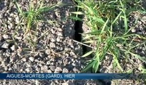 La sécheresse inquiète les agriculteurs du Languedoc-Roussillon