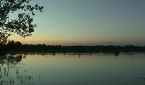 Camargue : le développement durable d'un territoire rural, un exemple innovant  au cœur du Parc naturel régional de Camargue