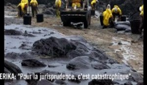 Erika : "Pour la jurisprudence, c'est catastrophique"